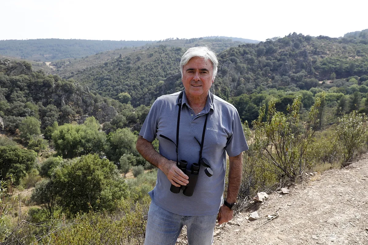 Experto forestal: 