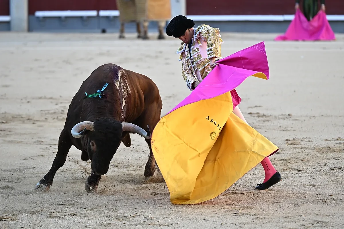 El 78% de los españoles no se consideran taurinos, pero menos de la mitad apoya derogar la protección cultural de la tauromaquia