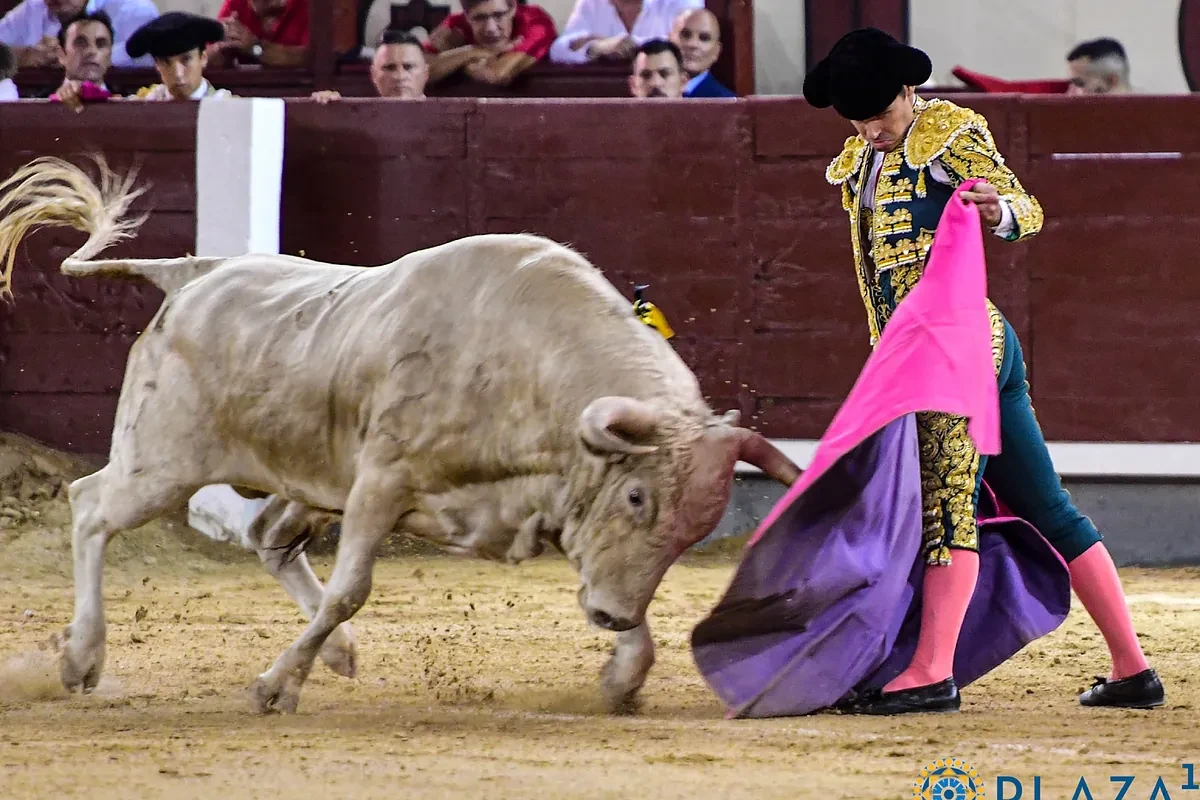 La pinta jabonera no salva la novillada de Aurelio Hernando en la noche de Las Ventas: sólo destaca David López