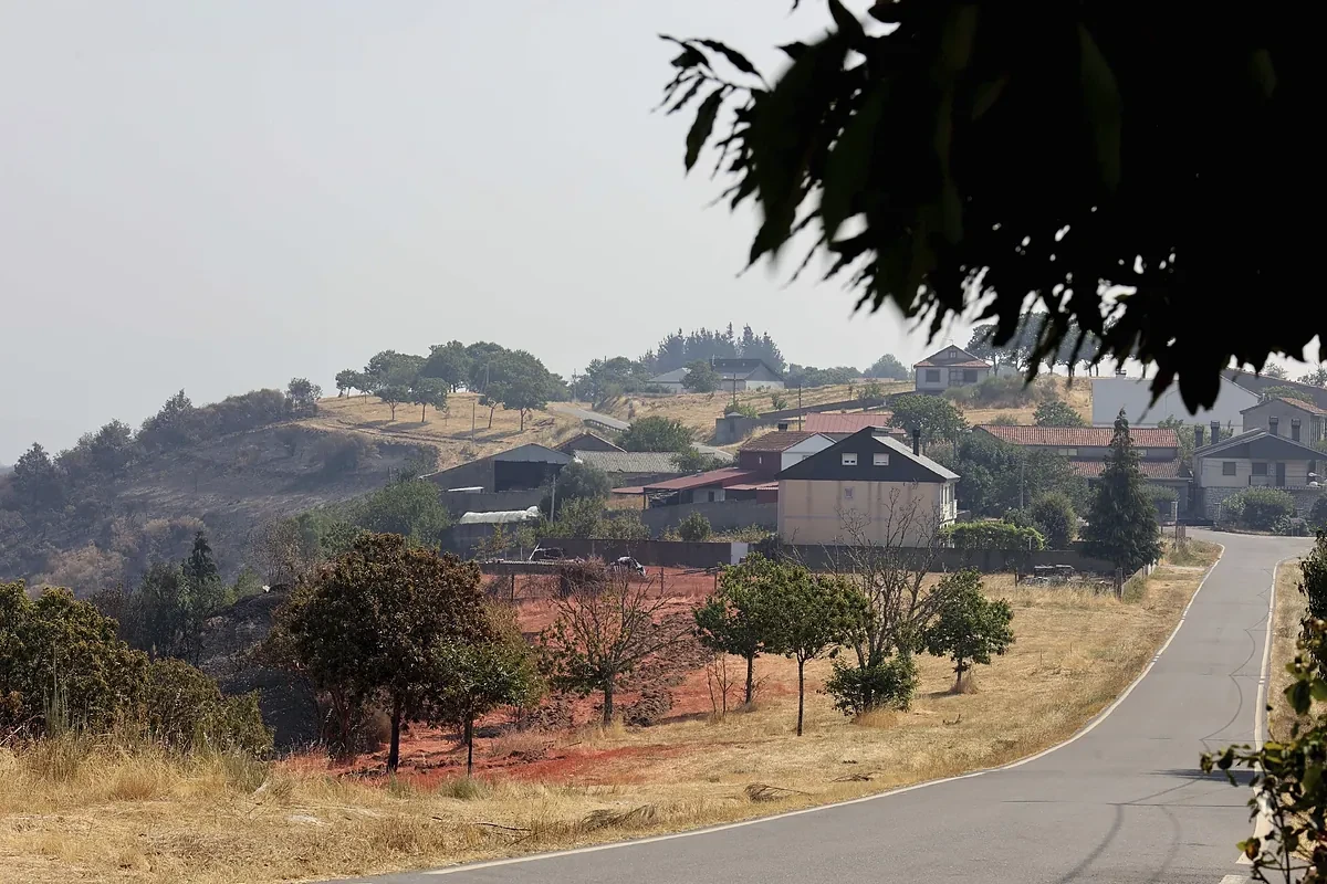 Denunciar, hacer fotos y guardar facturas: guía para actuar tras los incendios en el campo