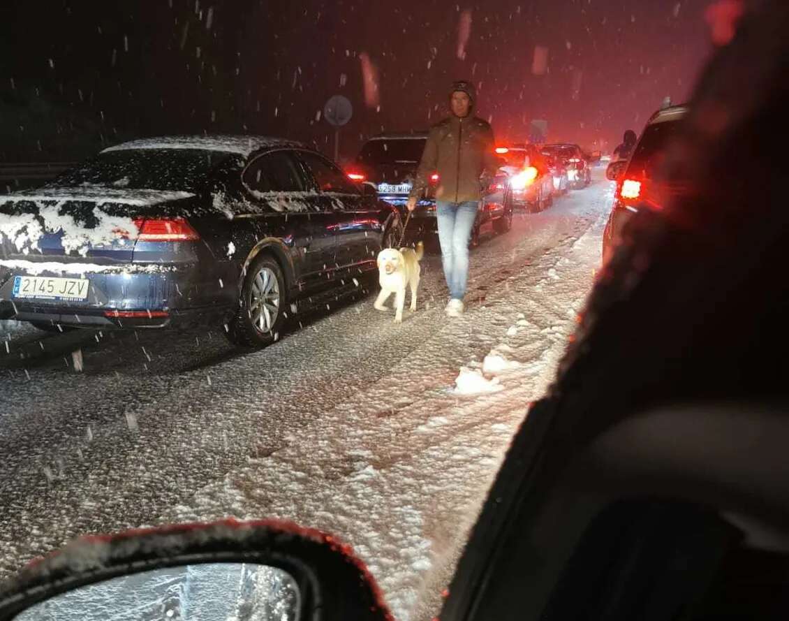 Atascados camino de Madrid por la nieve y el temporal: 