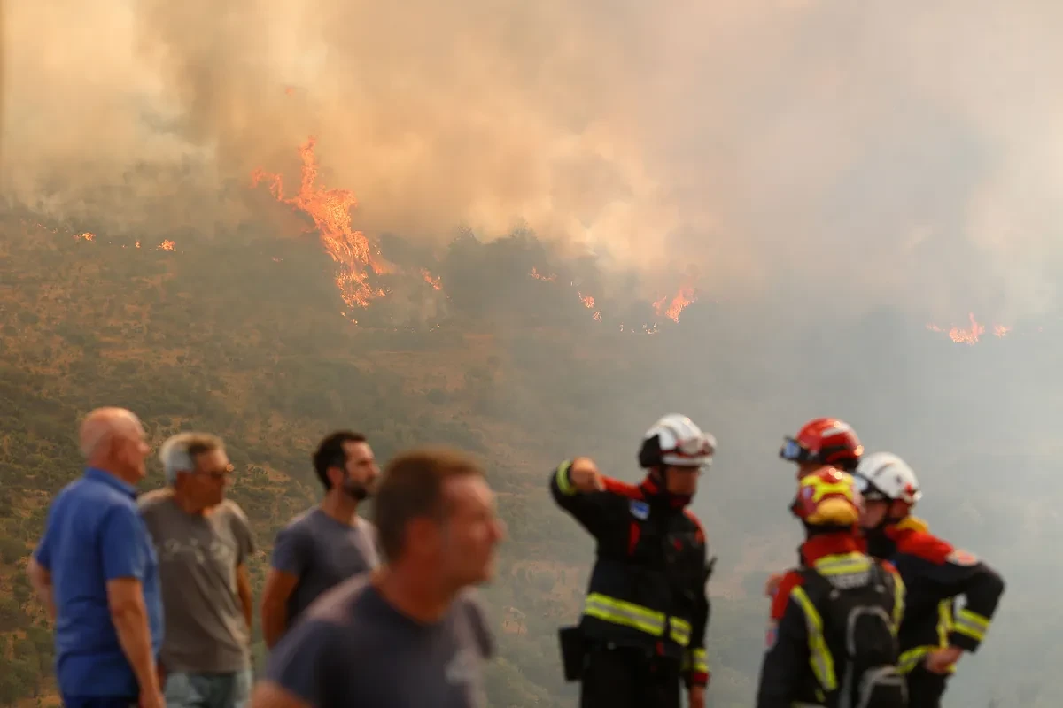La recuperación tras el fuego: 