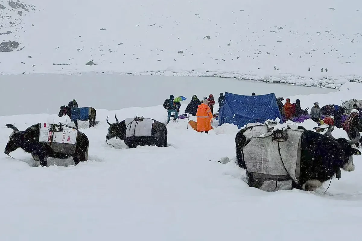 Así fue el rescate con yaks de los últimos 580 excursionistas atrapados por una ventisca a 4.900 metros de altura en el Everest