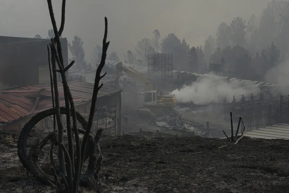 Las pérdidas económicas por los incendios de este verano rebasan ya en nueve veces las de todo 2024: 