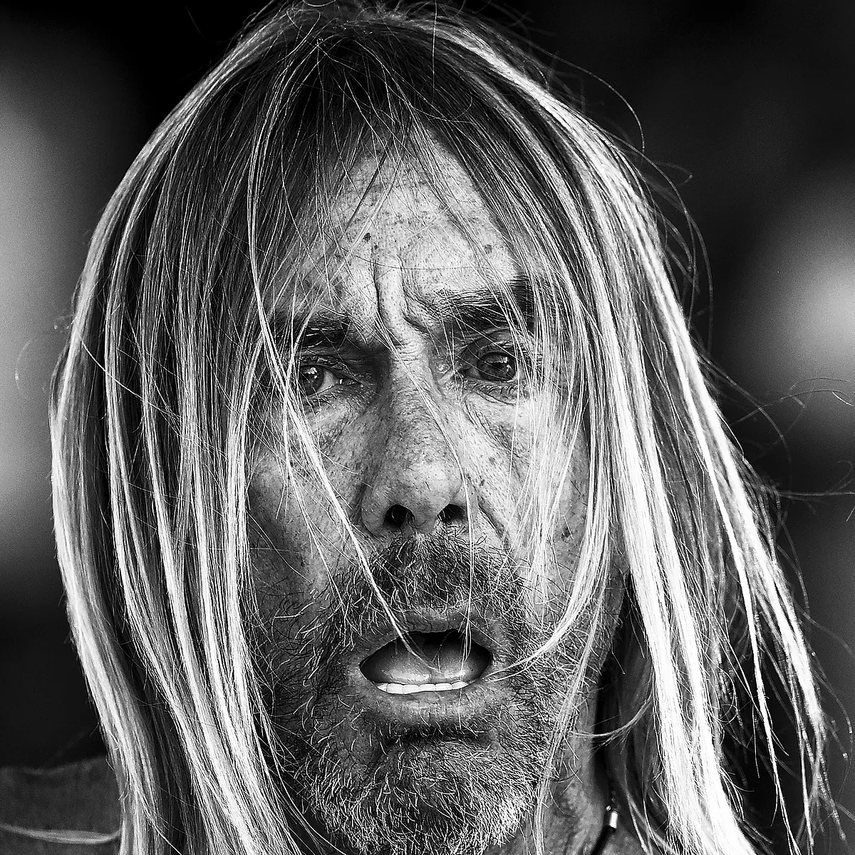 Iggy Pop: 