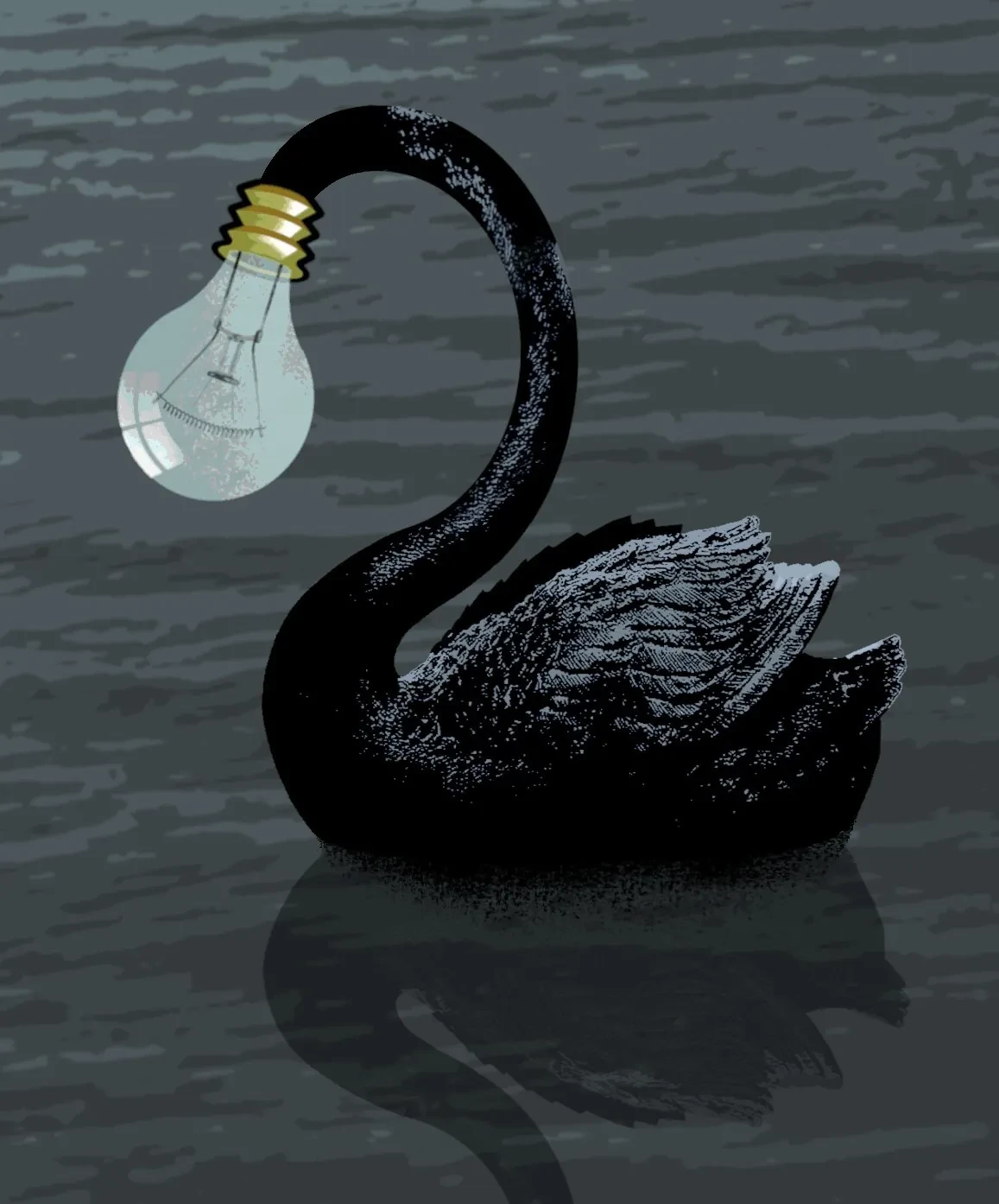 Cisne negro, pájaro de mal agüero