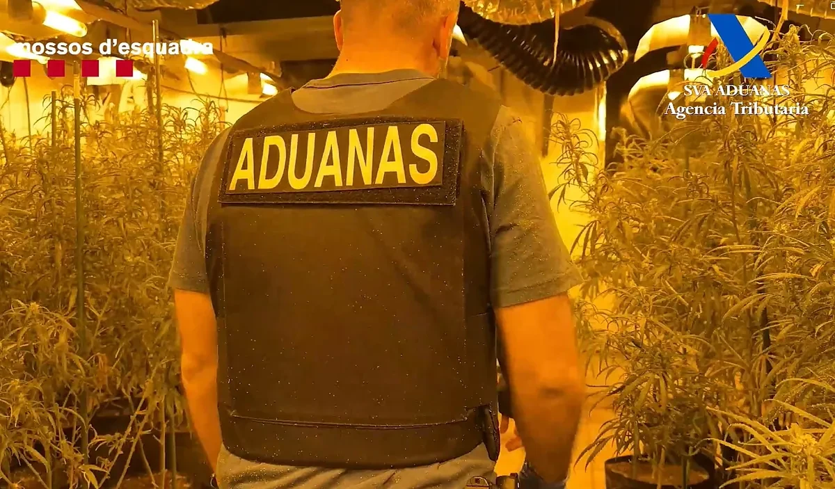 Golpe al narcotráfico: droga valorada en 1,5 millones, dos macromafias de Albania y Francia y ocho pistolas en Barcelona