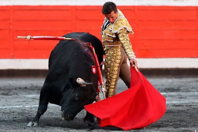 EL MUNDO, premiado de nuevo en Bilbao: Gonzalo I. Bienvenida gana el trofeo a la mejor crónica taurina del Club Cocherito