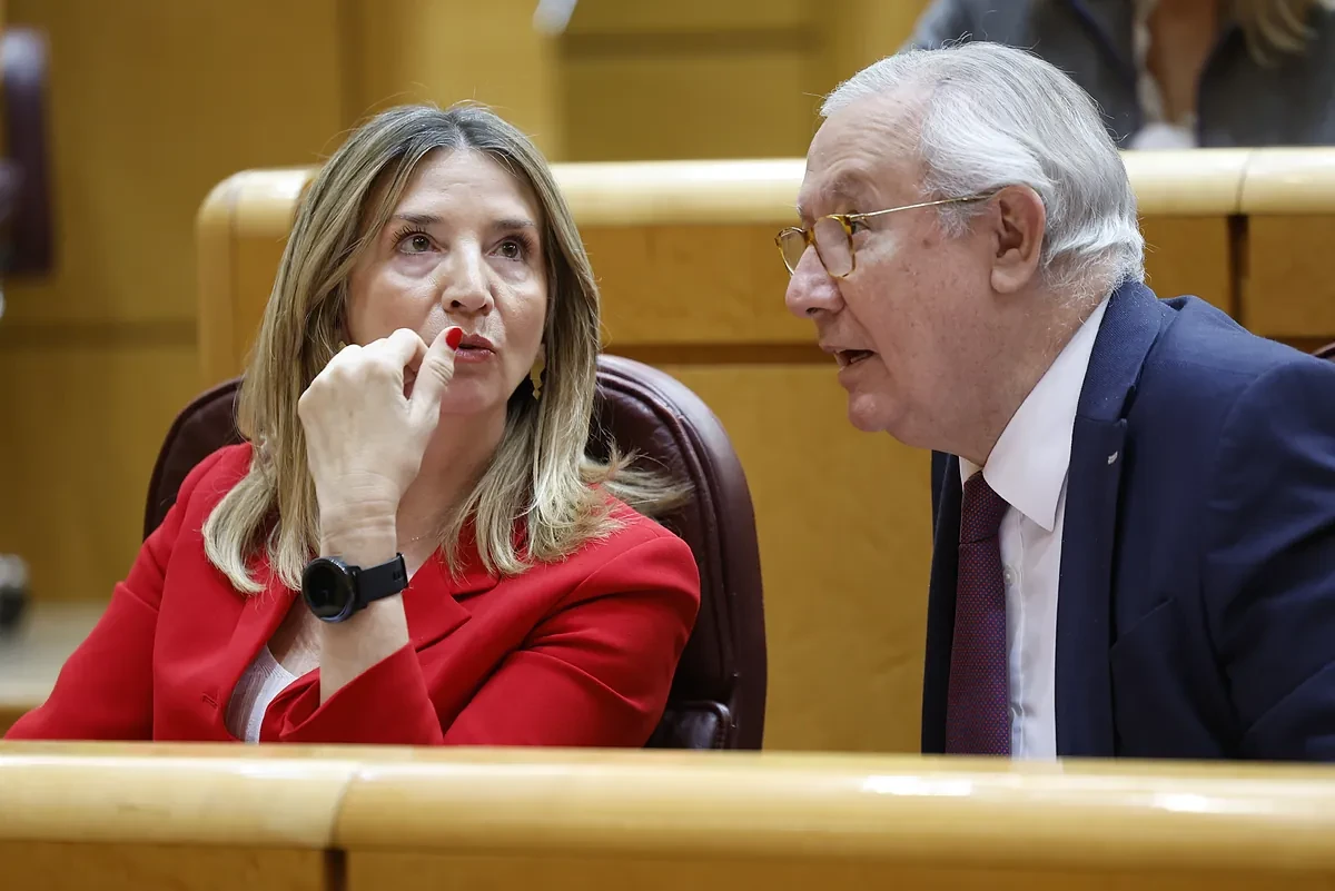 El PP critica el 