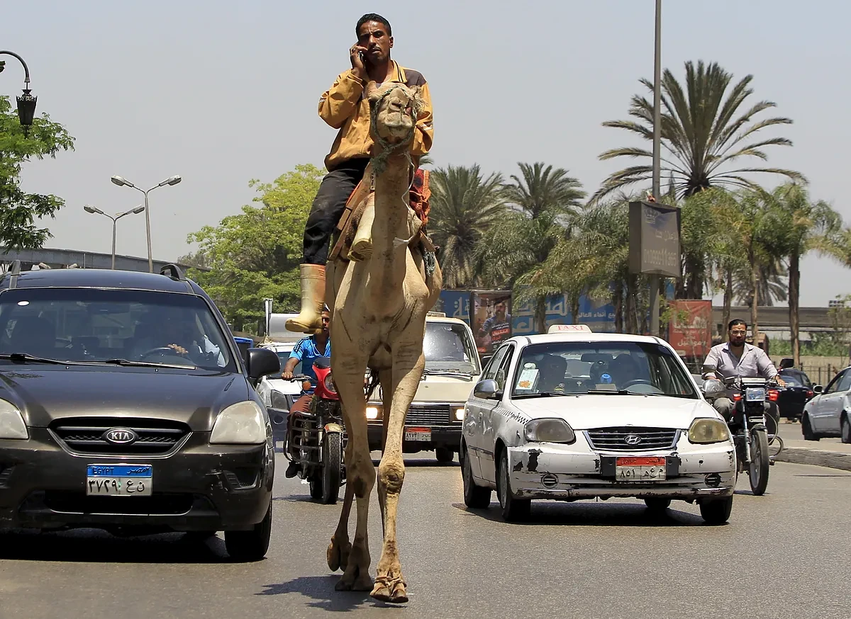 Al menos 8 muertos y 25 heridos tras un choque entre una camioneta que transportaba niños y otra con trabajadores en Egipto