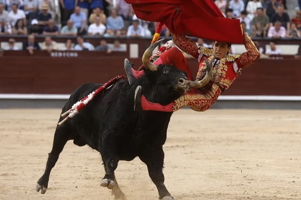 Crónica de un gesto fallido: la raza de Marco Pérez no fue suficiente contra los elementos y el muro de su espada en una tarde hostil en Las Ventas