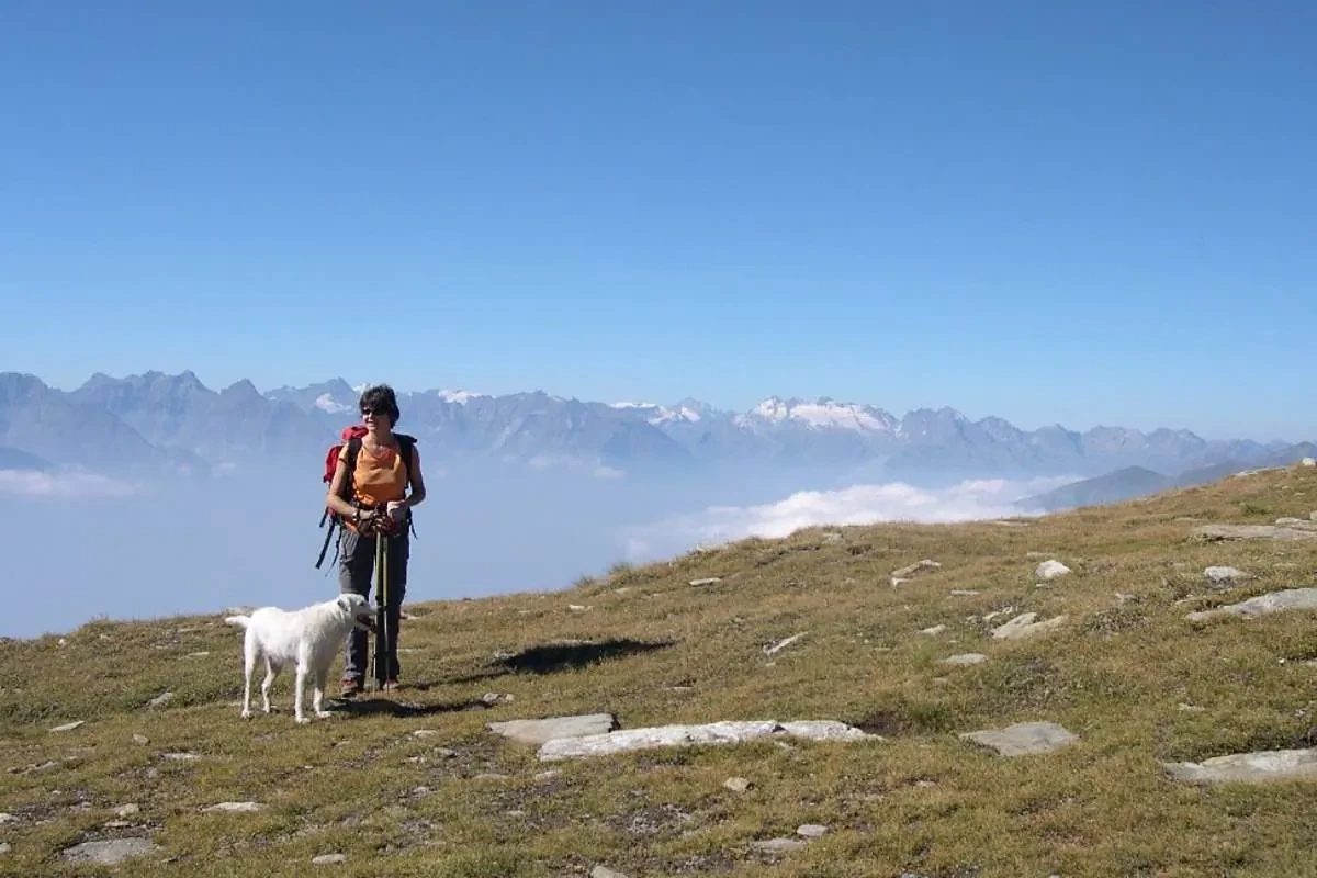Hallan muerto en el Valle de Aosta al senderista de 15 años que anoche llamó a casa: 