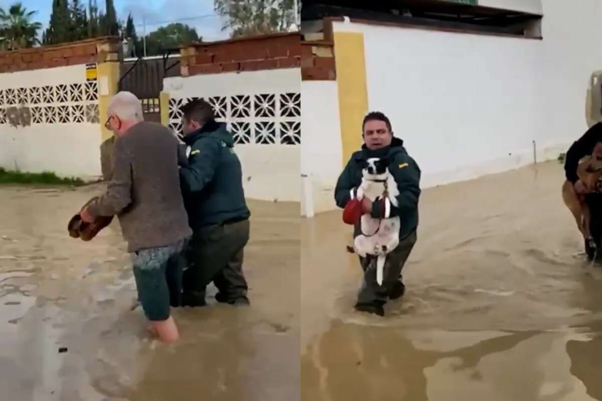 Así ha sido el rescate de varias personas y sus mascotas por las lluvias en Cártama (Málaga)