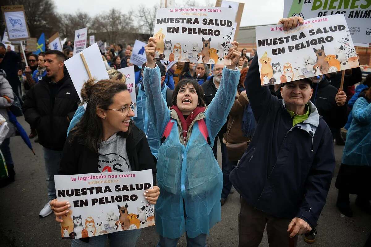 Motín veterinario por el decreto que limita el uso de antibióticos en mascotas: 