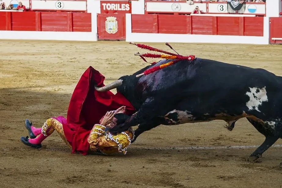 Sorprendente puerta grande de Marco Pérez con una buena corrida de La Ventana en Santander