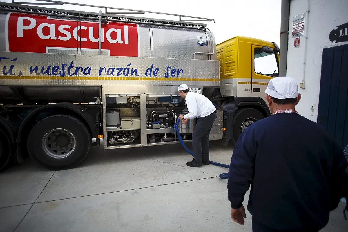 Pascual cierra 2024 con 900 millones de facturación y un crecimiento del 27% en EBITDA pese al contexto global