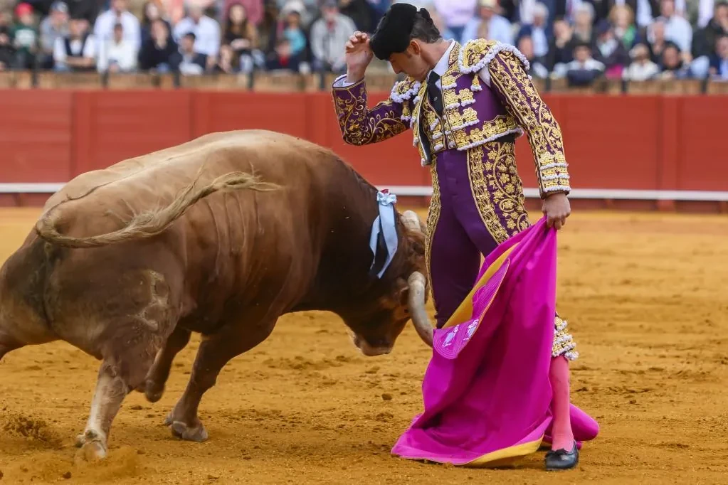 Lección de Alcurrucén en Sevilla coronada con la brava cátedra de un Profesor superlativo
