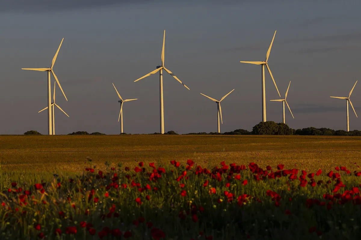 España, atrapada en su propio laberinto burocrático: una norma nueva cada 45 minutos y una década para tramitar un proyecto