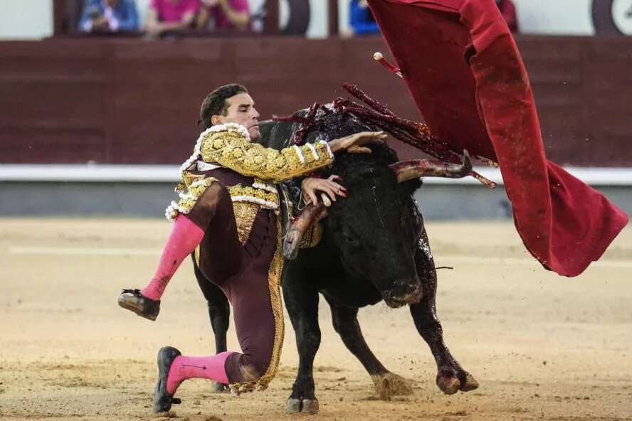 Fernando Adrián, con rotura del menisco interno y otras lesiones en la rodilla izquierda tras las dos cogidas de la Feria de Otoño