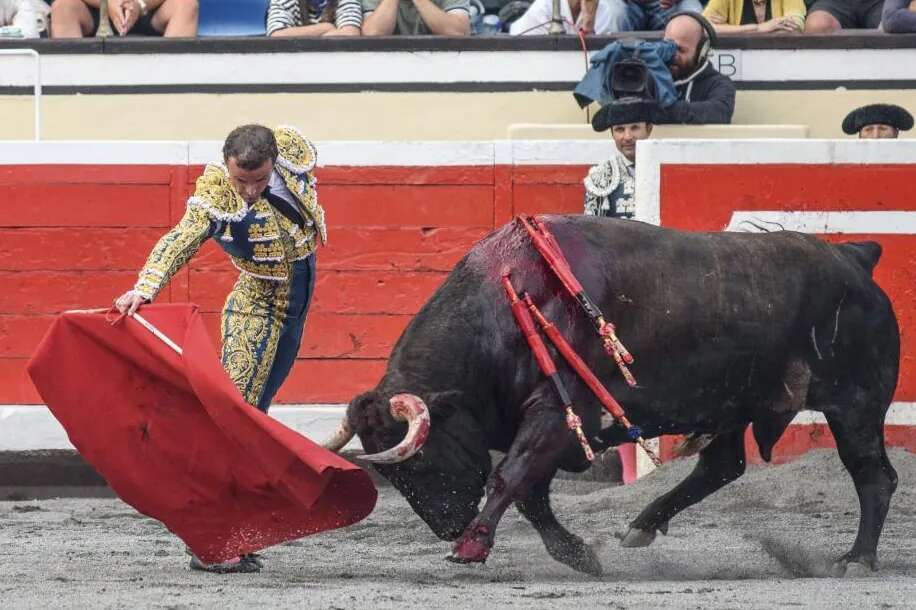 La apuesta en solitario de Damián Castaño con los toros de Dolores Aguirre, eje de la feria del Club Taurino 3 Puyazos en Guadalix