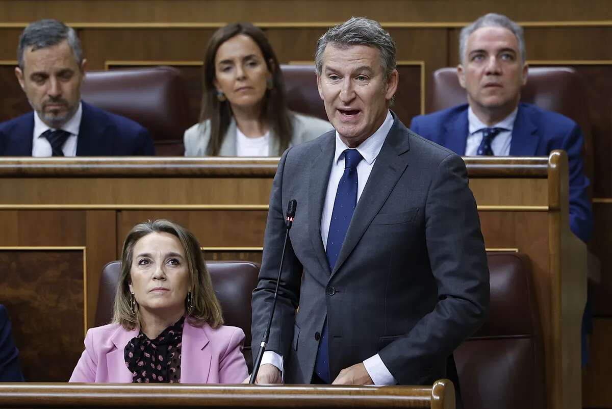 El ojo pequeño de Feijóo o la desnudez de gafas del líder del PP: 