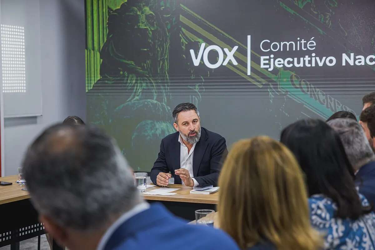 Vox recibió más de 9 millones de euros de un banco húngaro para financiar campañas electorales, aunque 