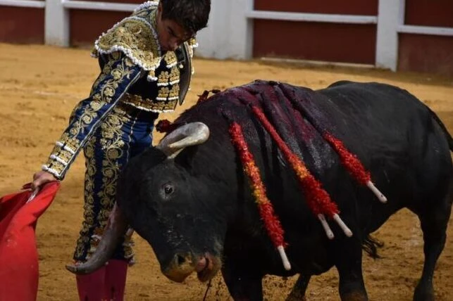 López Chaves corta la única oreja a una complicada corrida de Miura en Cuéllar
