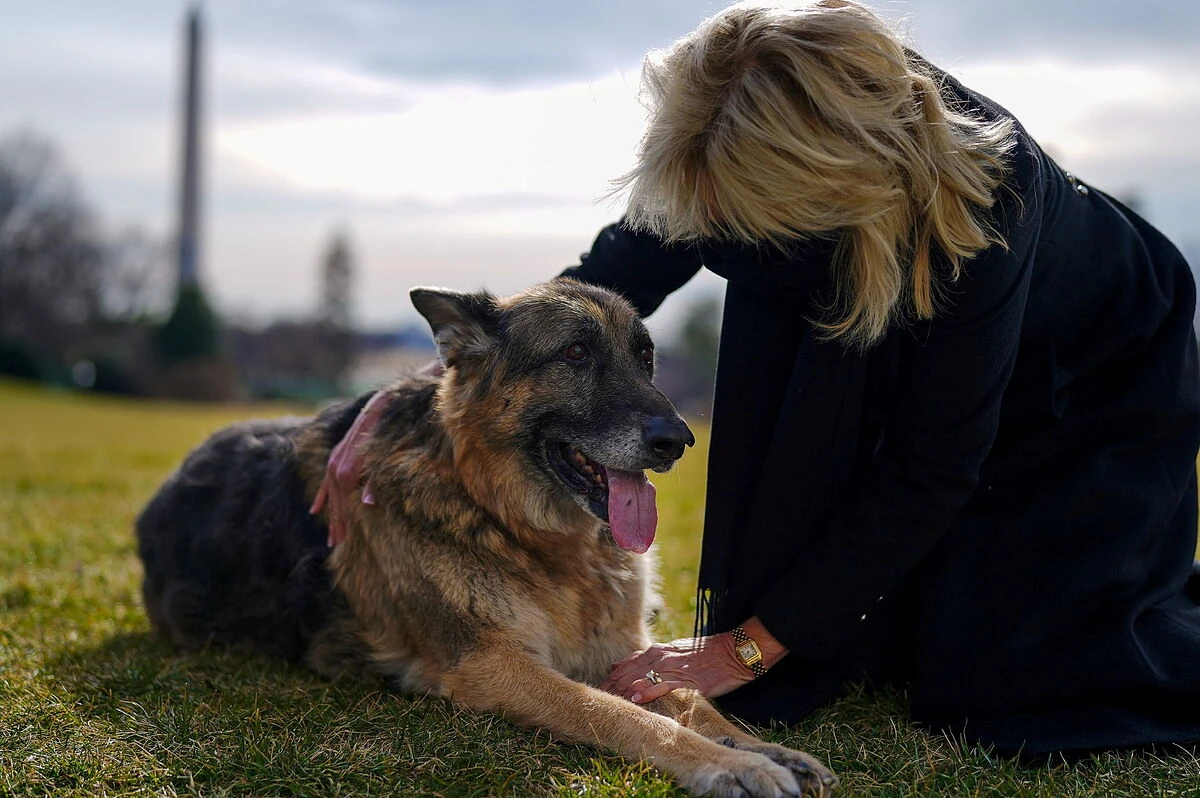 La Casa Blanca anuncia la muerte de Champ, uno de los perros de la familia Biden