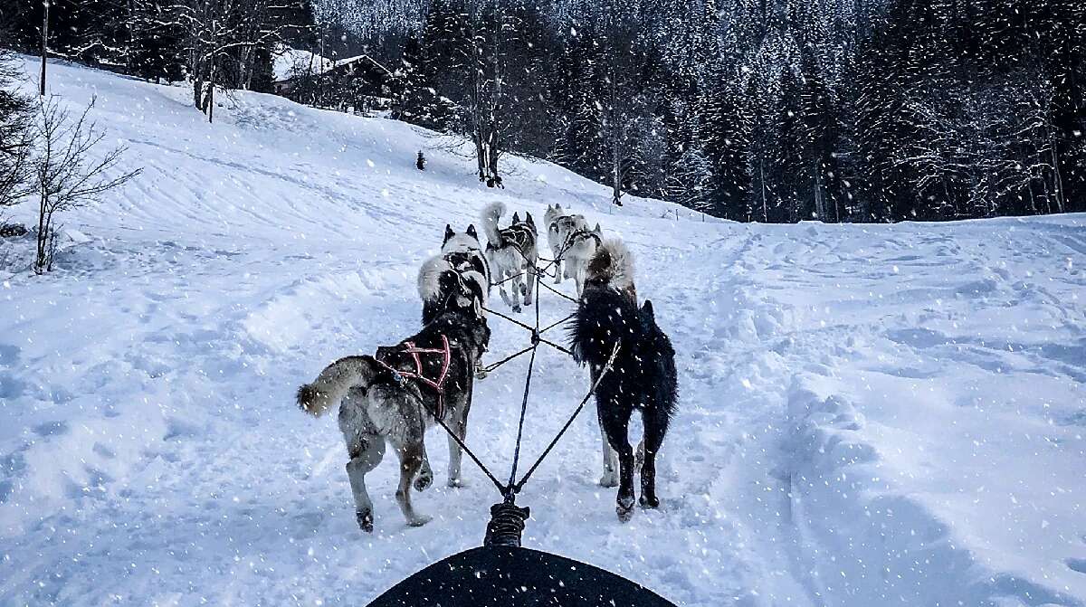 Ski Coaching, aventura en cada curva en los destinos más icónicos del planeta