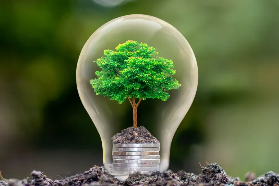 Pequeñas empresas de transición energética y evitar compañías que lideran el avance tecnológico