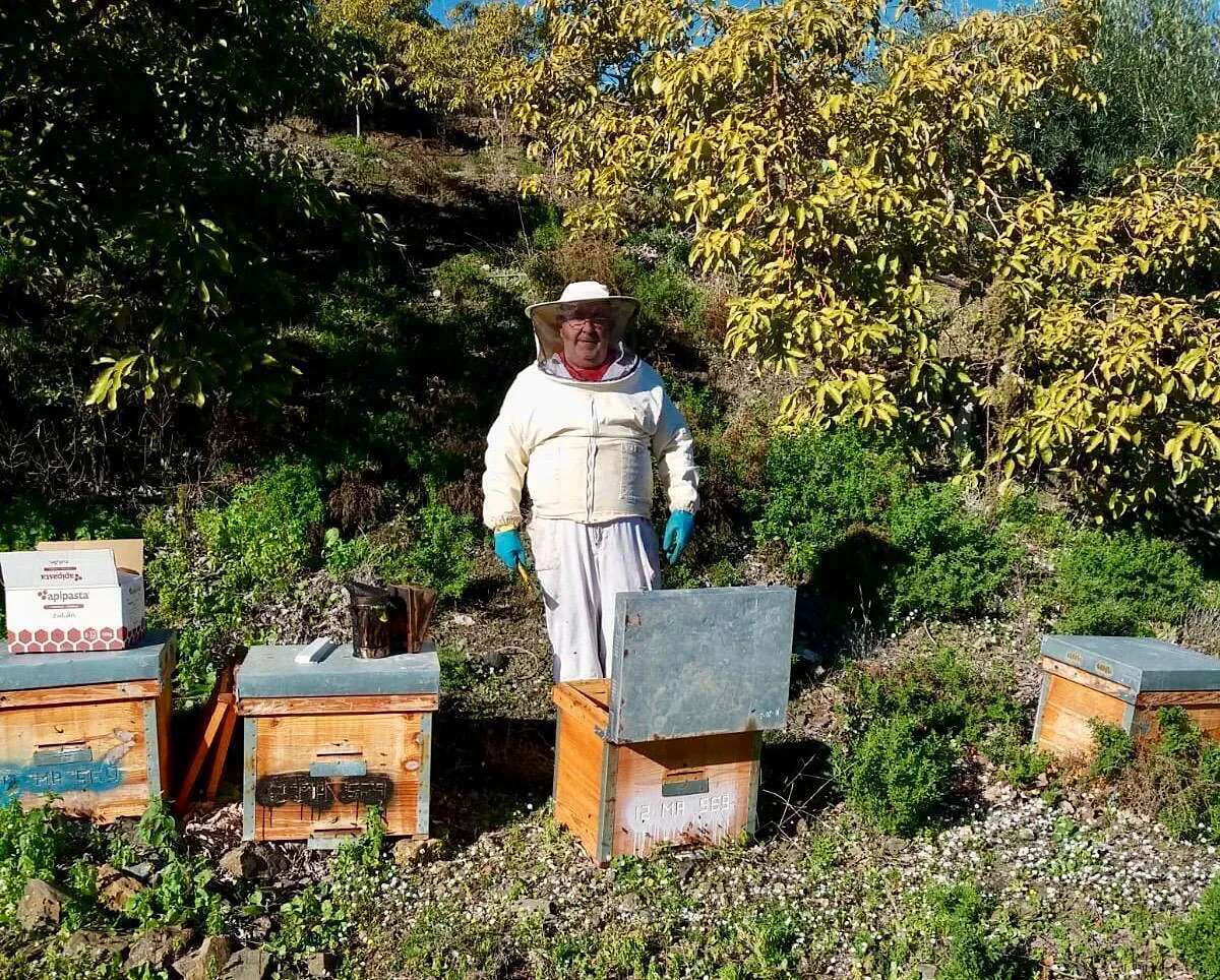 Los apicultores claman sobre las importaciones masivas de miel falsa de China: 