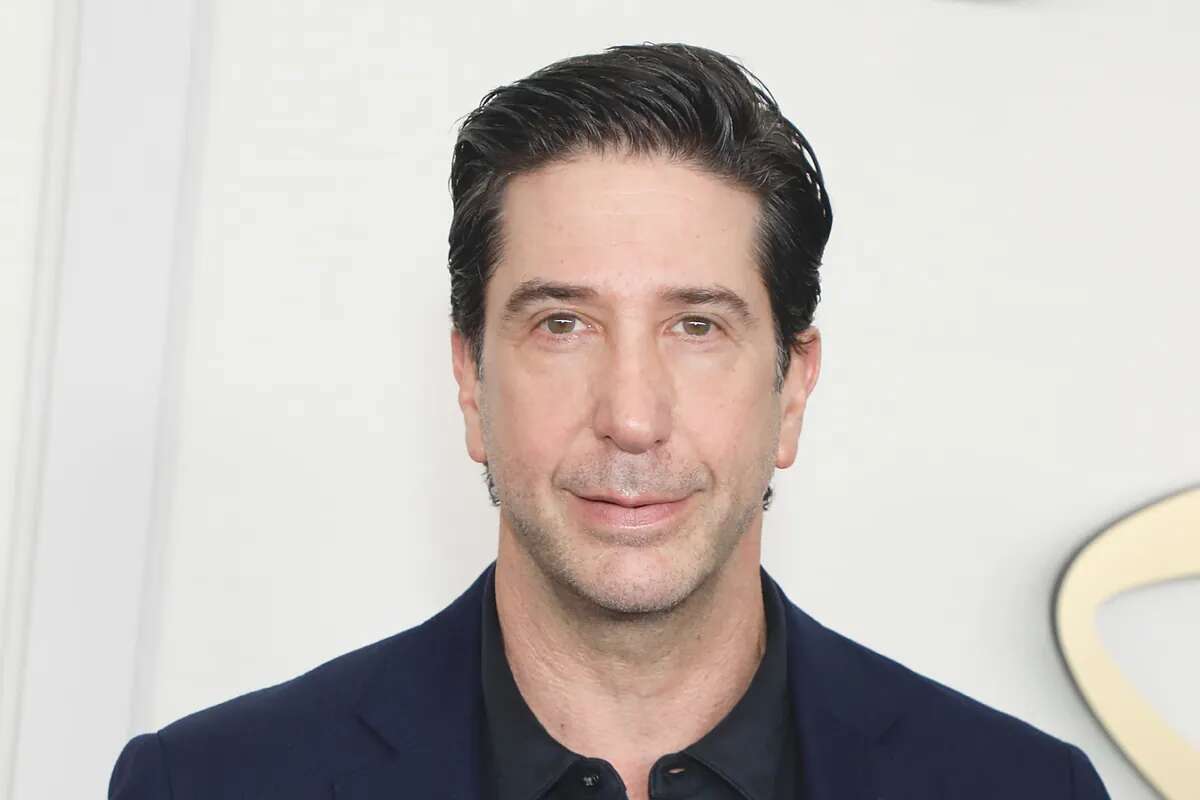 David Schwimmer (Friends) pide que el 