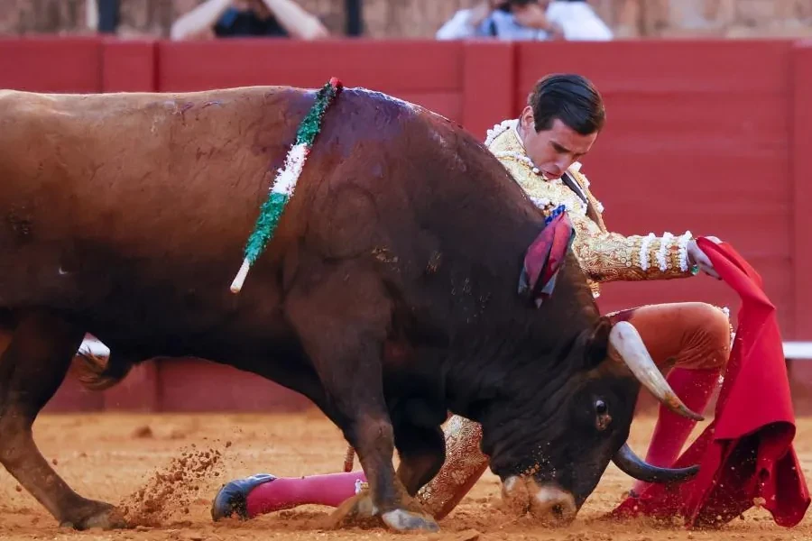 Distintas formas de 