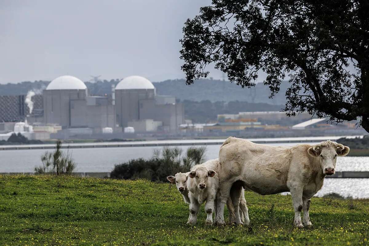 Cataluña se desmarca del frente común que impulsa María Guardiola entre los territorios afectados por el apagón nuclear