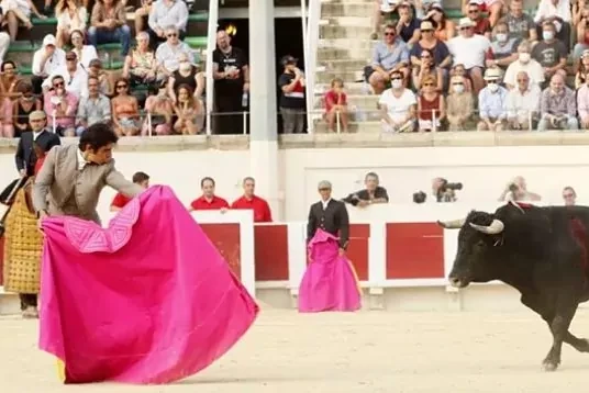 Condenan al torero Miguel ngel Perera a pagar 1,2 millones por fraude fiscal