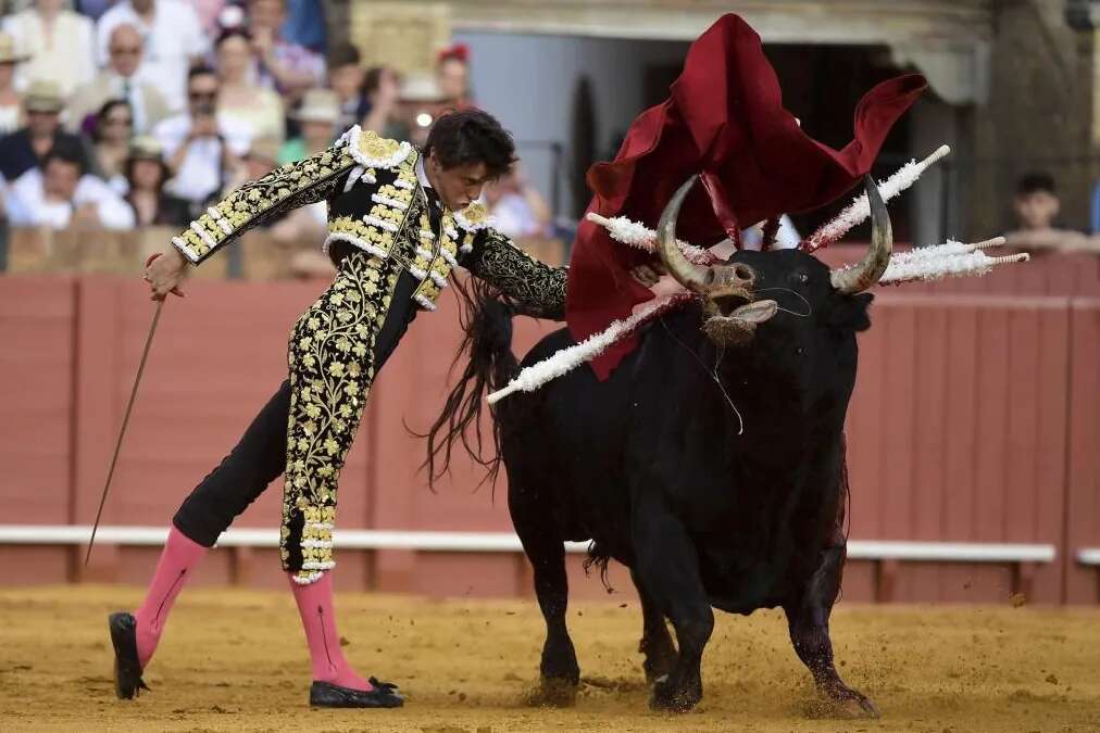 Ponce, Manzanares, Roca Rey... Todas las figuras del toreo rematan el gran cartel por las víctimas de la DANA el próximo 1 de diciembre en Vistalegre