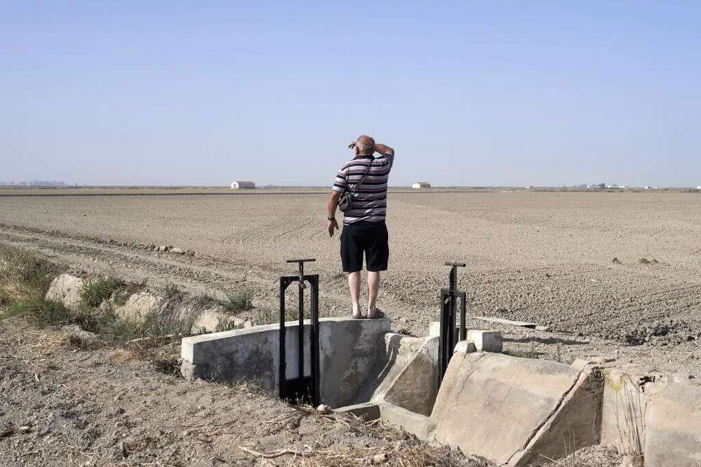 Los fondos de inversión concentran ya cuatro de cada 10 euros de los beneficios que aporta el campo y ponen en jaque la agricultura familiar