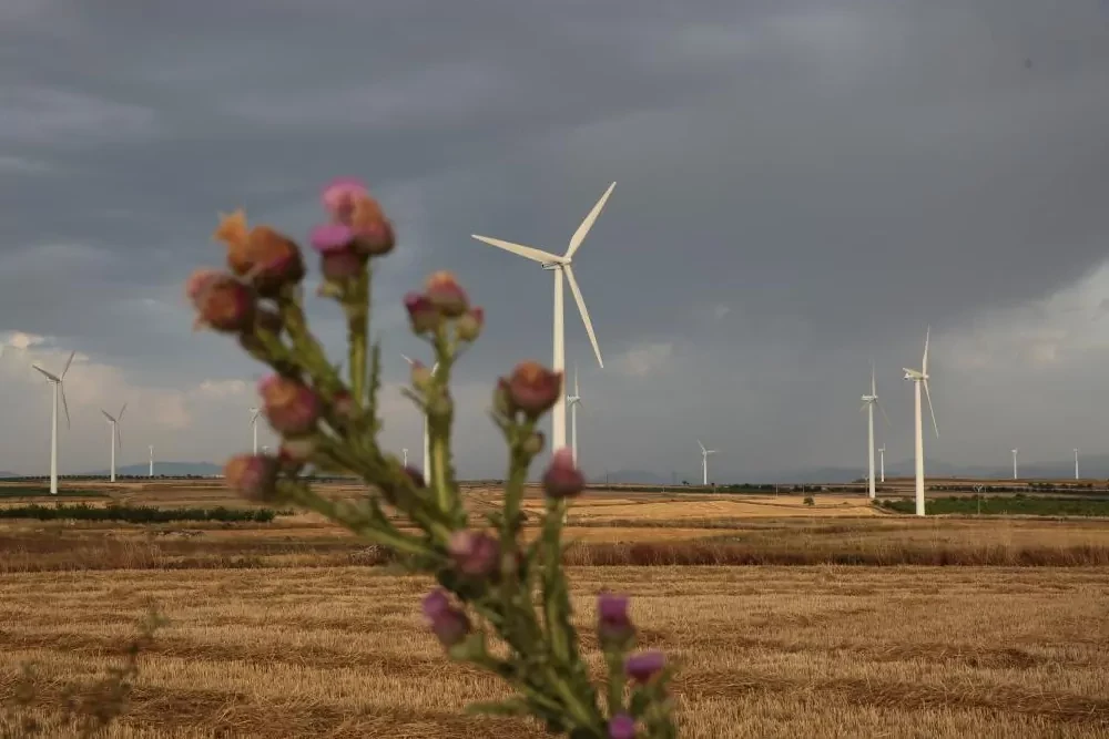 Las grandes empresas lanzan la carrera para lograr fondos mientras la pyme teme quedar fuera