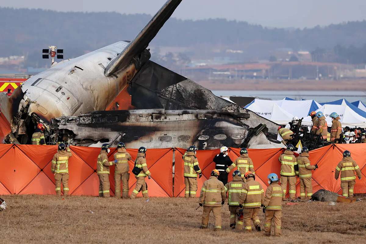 Los choques con pájaros, pesadilla de pilotos y causa de muchos incidentes aéreos