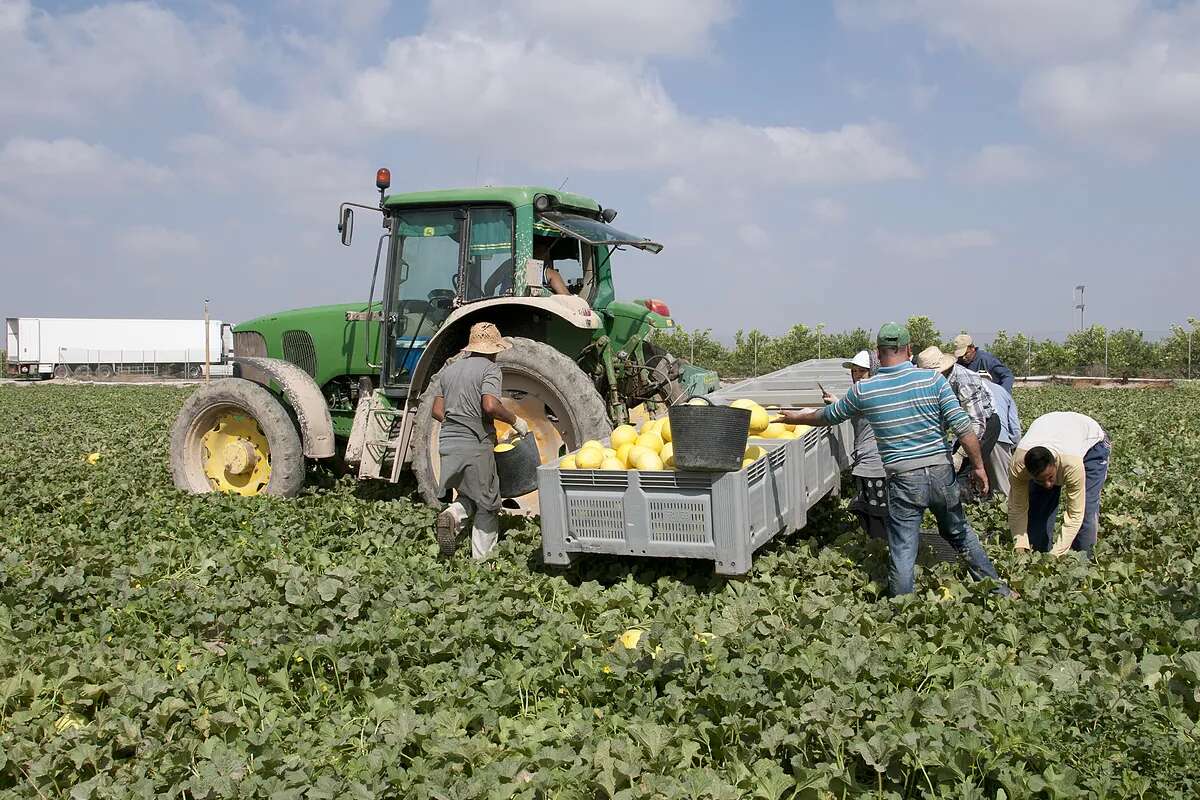 El campo emplea ya a menos del 5% de los trabajadores en España y el Gobierno lo achaca a la modernización del sector