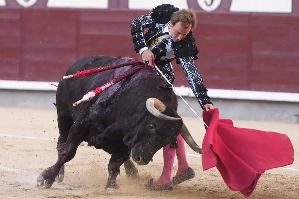 Bravísimo Román, a una parada de la gloria en Madrid