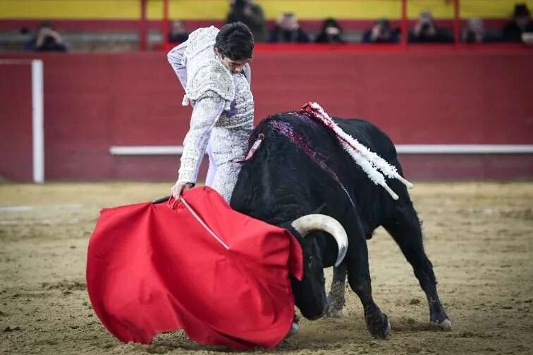 Rotundo Castella, a hombros con Ventura en Valdemorillo