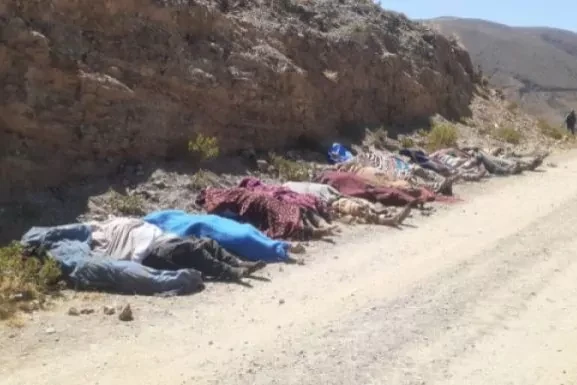 Al menos 19 muertos y 24 heridos en un accidente de trfico