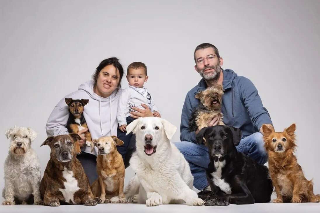 España alcanza ya las seis mascotas por niño: 