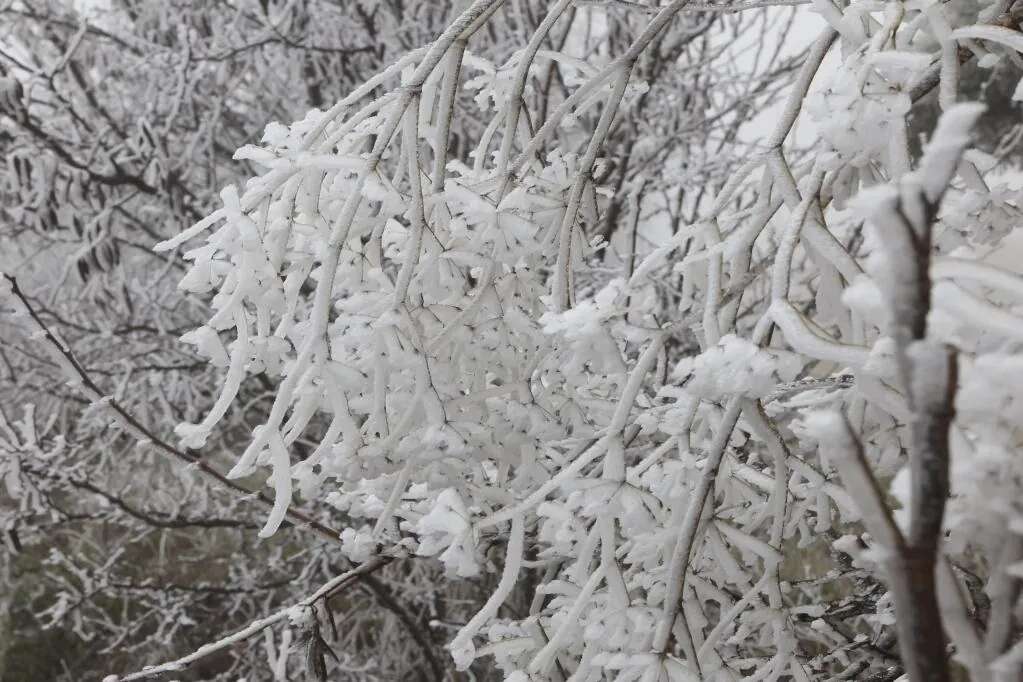 Frío invernal: siete comunidades en alerta por nieblas, con heladas y mínimas que este jueves pueden llegar a los seis bajo cero