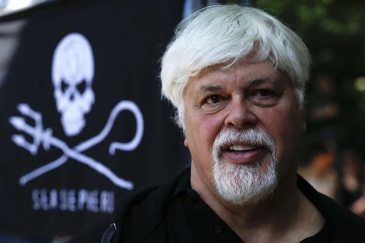 Detienen en Groenlandia al activista contra la caza de ballenas Paul Watson