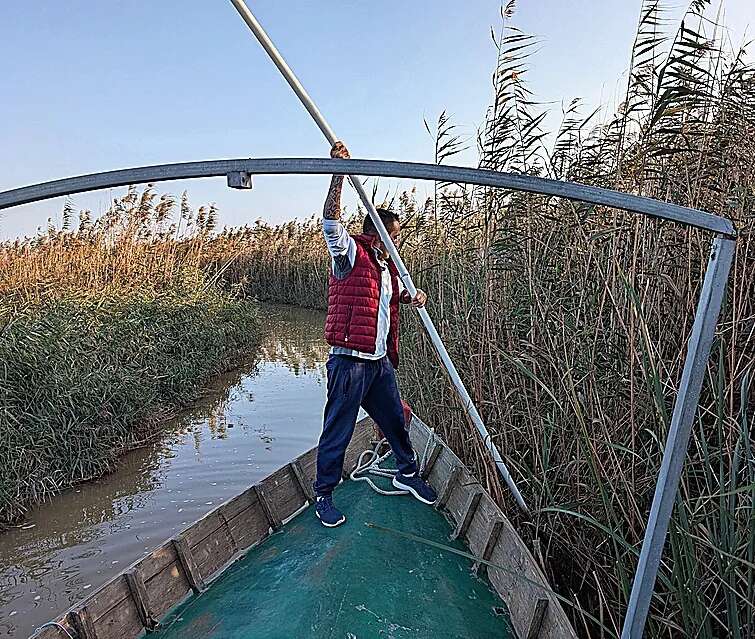 A bordo de una barca con los pescadores arruinados que buscan cadáveres en La Albufera: 