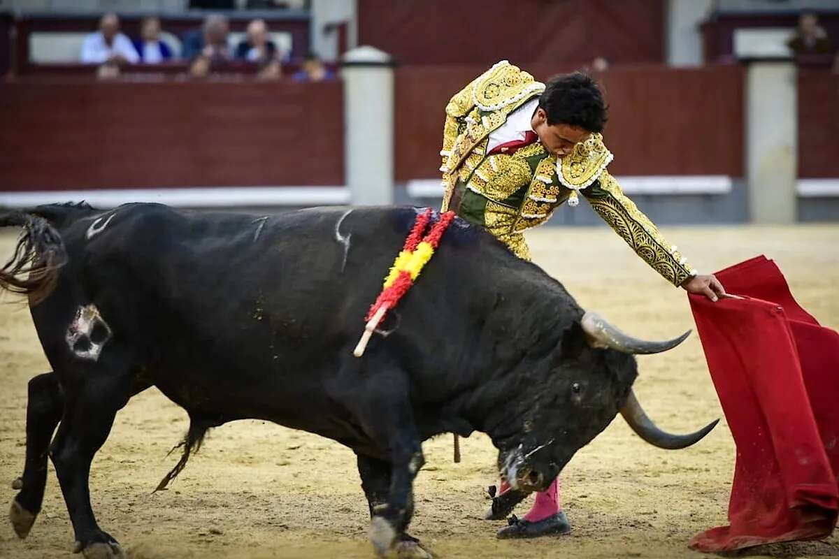 10 toros, 5 hierros, 180 minutos, un presidente inepto y un torero en Las Ventas: Juan de Castilla