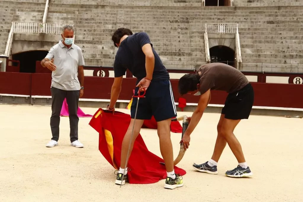 Unidas Podemos quiere prohibir por ley que los menores vayan a los toros y sean alumnos de escuelas de tauromaquia