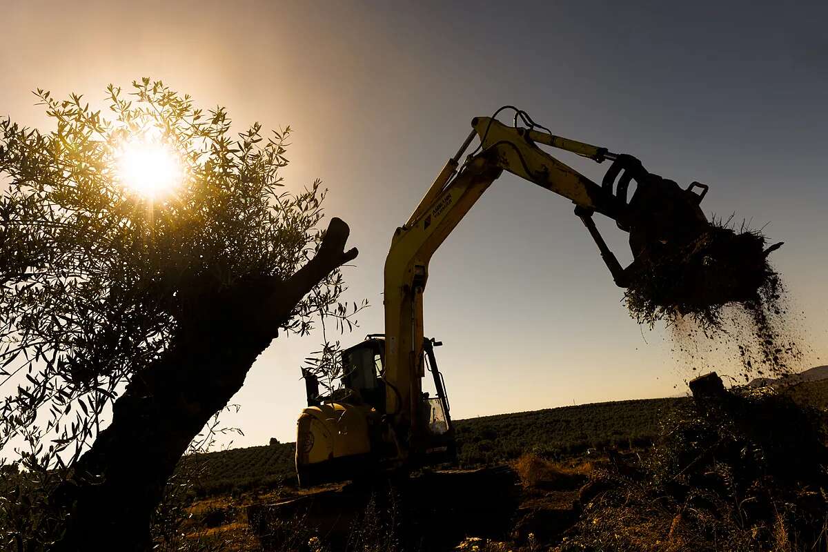 España pierde 193.704 empleos en el peor agosto desde 2019 y el campo baja del millón de trabajadores por primera vez en al menos 16 años